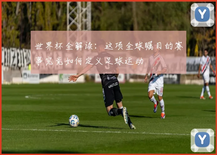 世界杯全解读：这项全球瞩目的赛事究竟如何定义足球运动