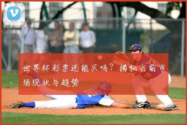 世界杯彩票还能买吗？揭秘当前市场现状与趋势
