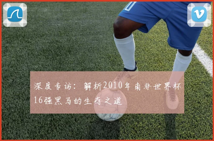 深度专访：解析2010年南非世界杯16强黑马的生存之道