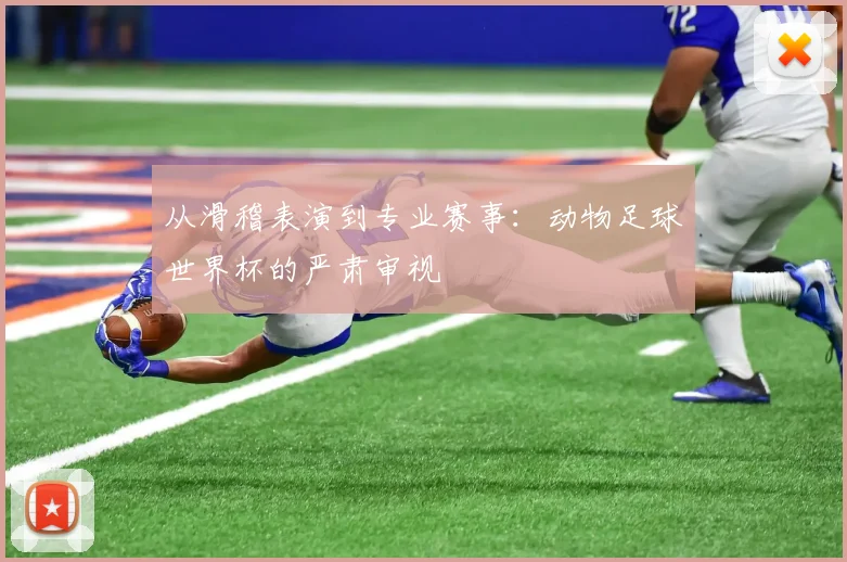 从滑稽表演到专业赛事：动物足球世界杯的严肃审视