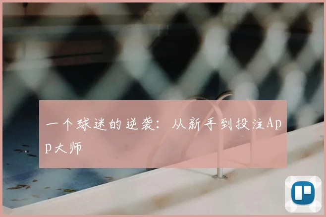 一个球迷的逆袭：从新手到投注App大师