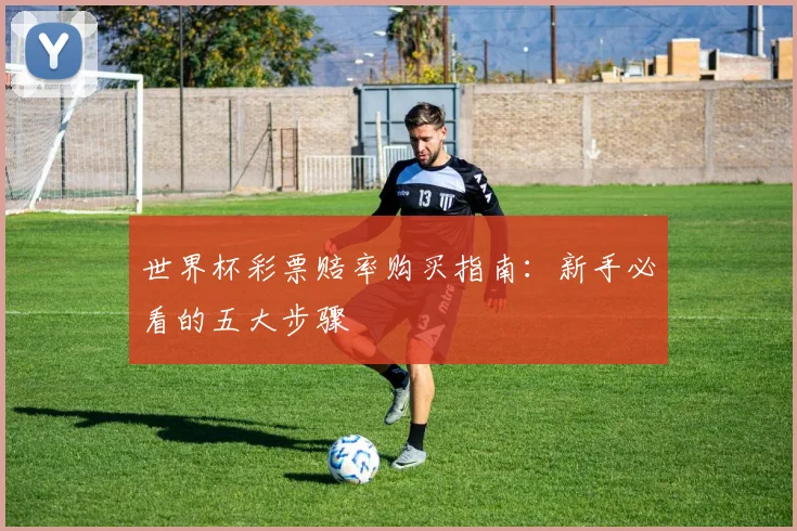 世界杯彩票赔率购买指南：新手必看的五大步骤