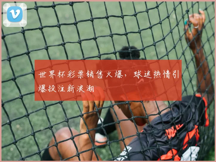 世界杯彩票销售火爆，球迷热情引爆投注新浪潮