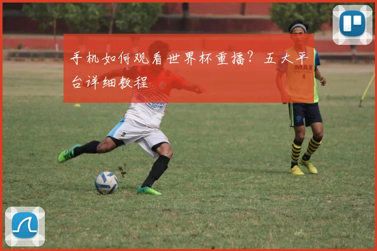 手机如何观看世界杯重播？五大平台详细教程