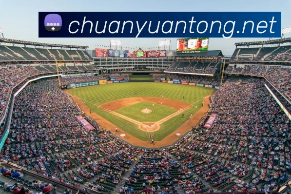 App Interface Preview